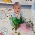 花生的殼