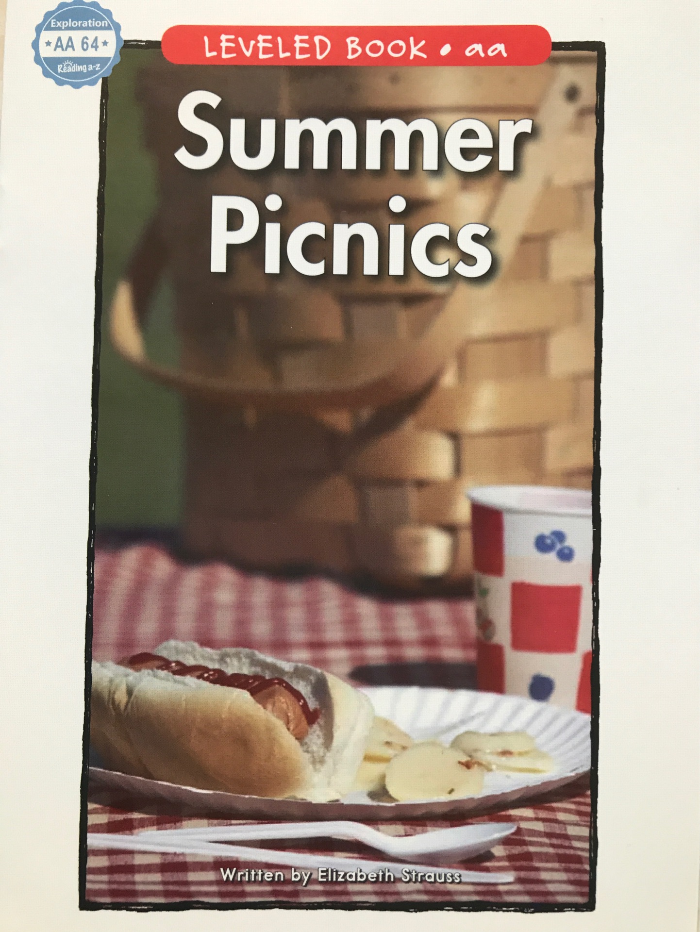 Raz AA:64 Summer Picnics