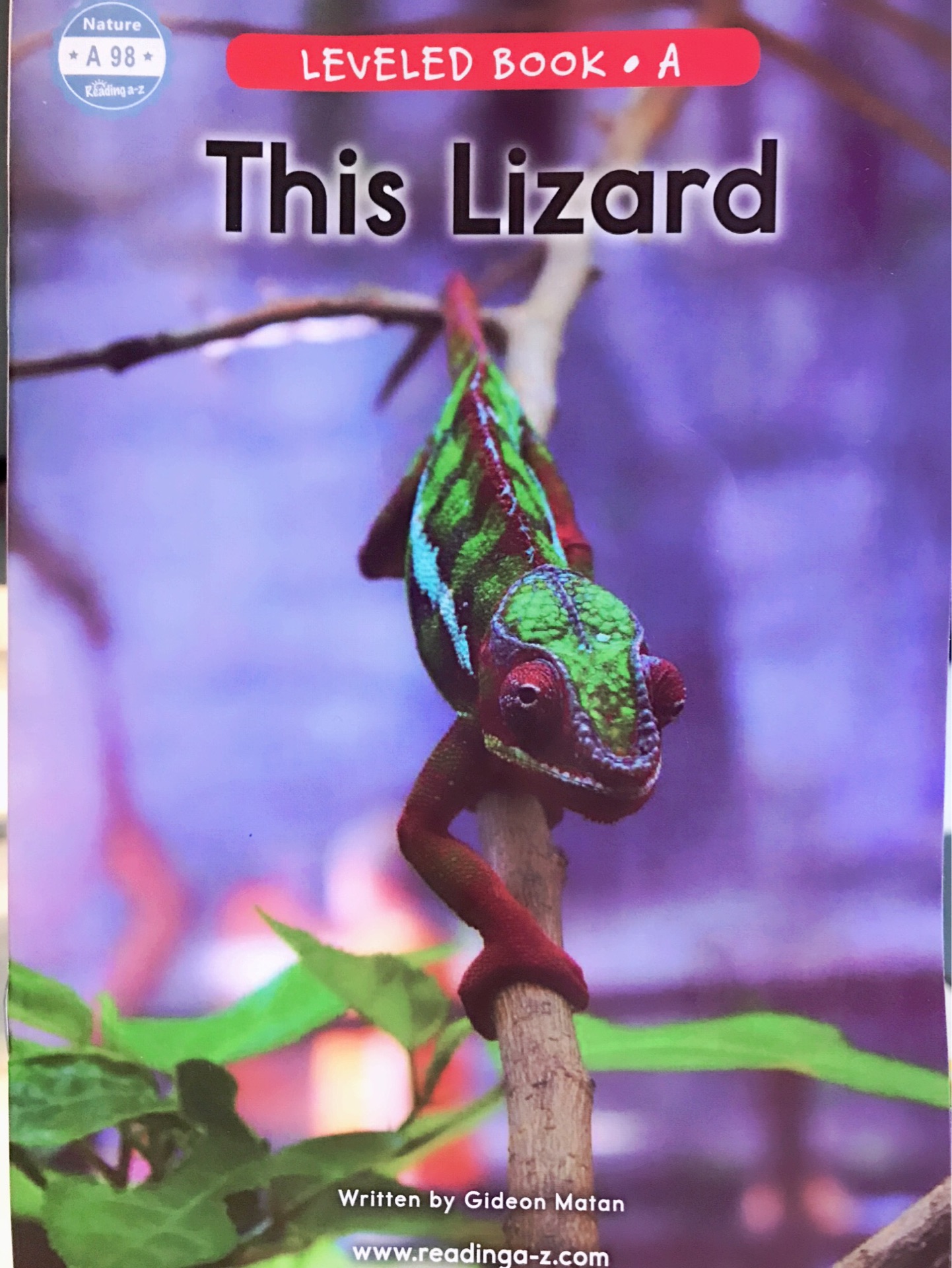 This Lizard (RAZ A)