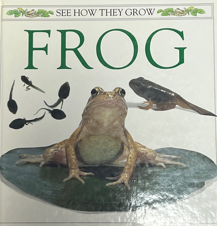 Frog (See How They Grow)