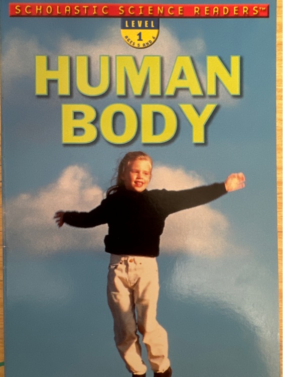 human body