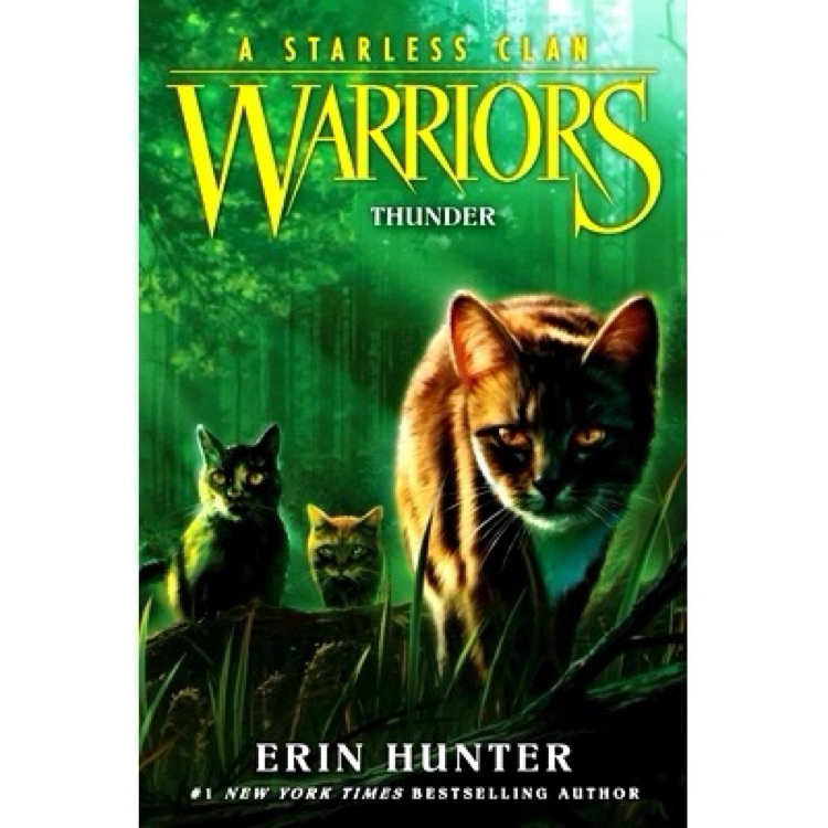 A starless clan#4:thunder
