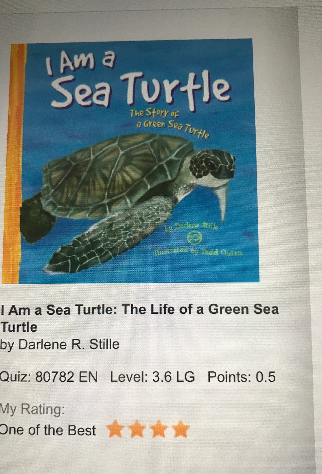 I am a sea turtle