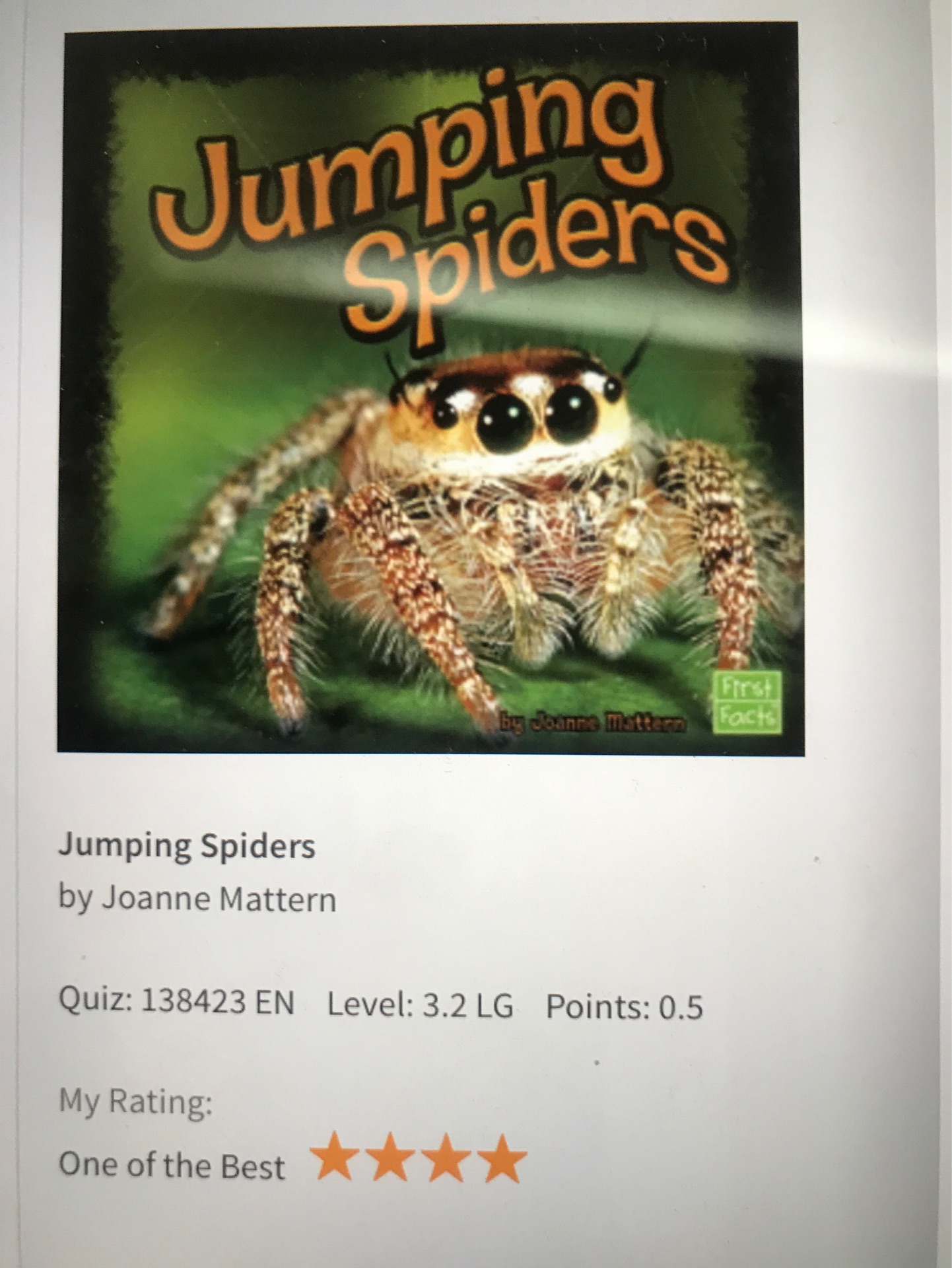 Jumping spiders