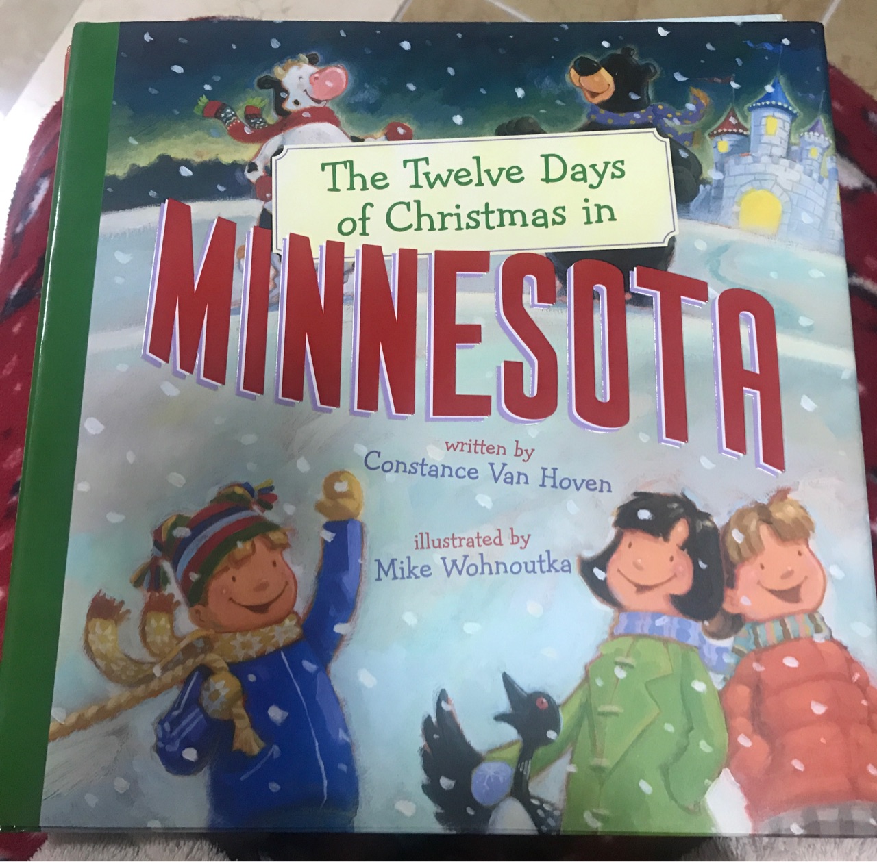 The Twelve Days of Christmas of Christmas in Minnesota