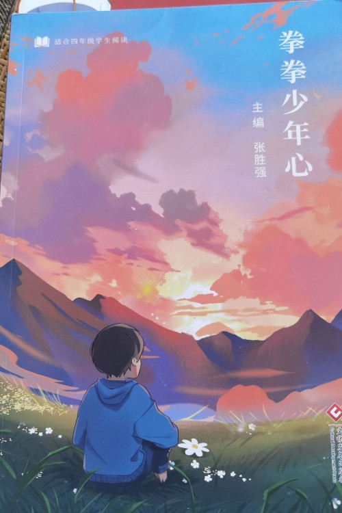 拳拳少年心