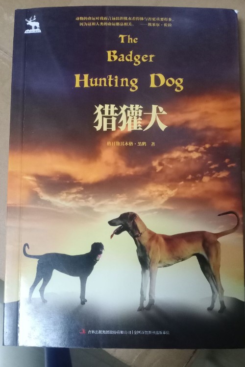 黑鶴自然之歌系列  獵獾犬