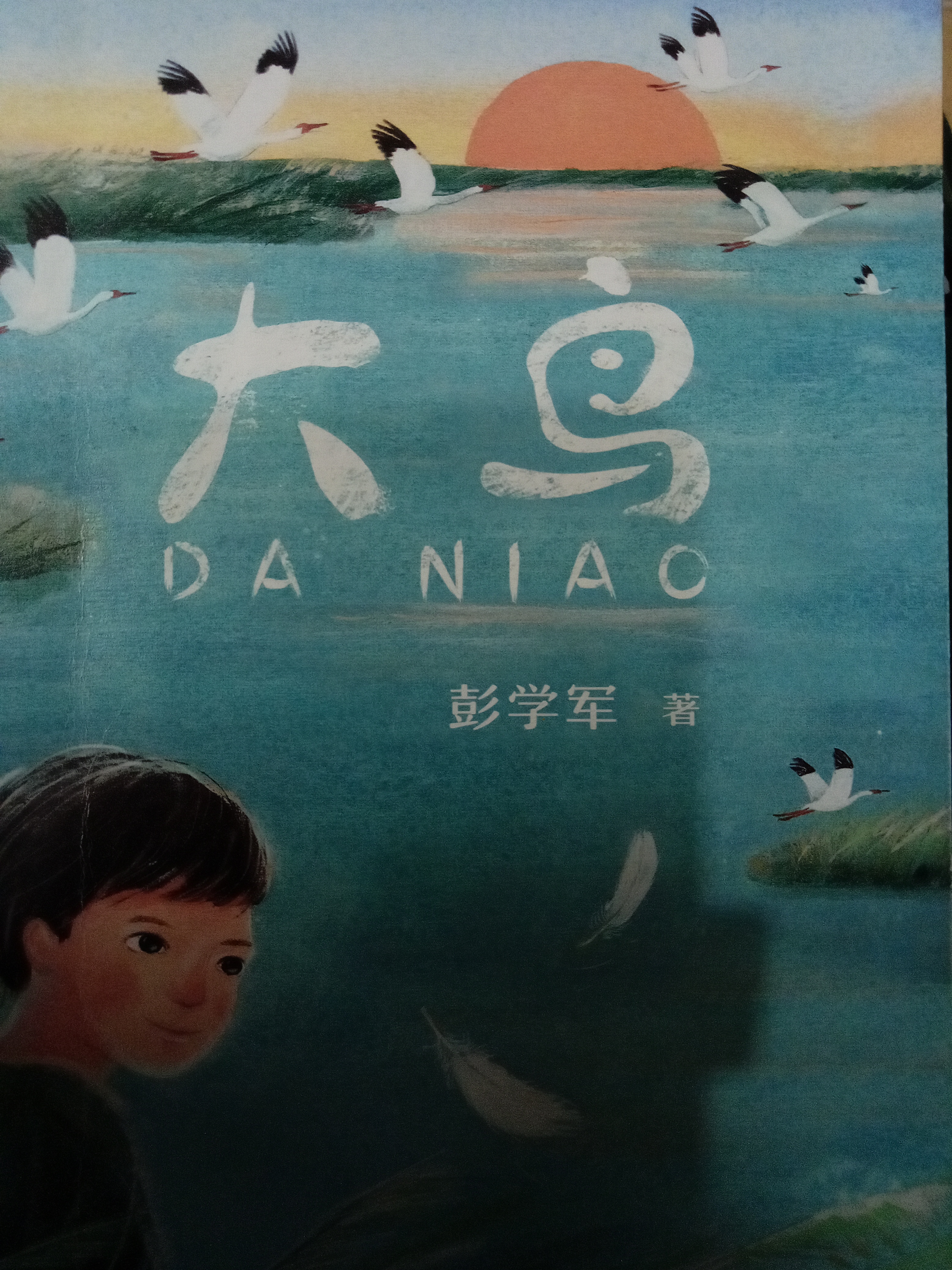 大鳥(niǎo)