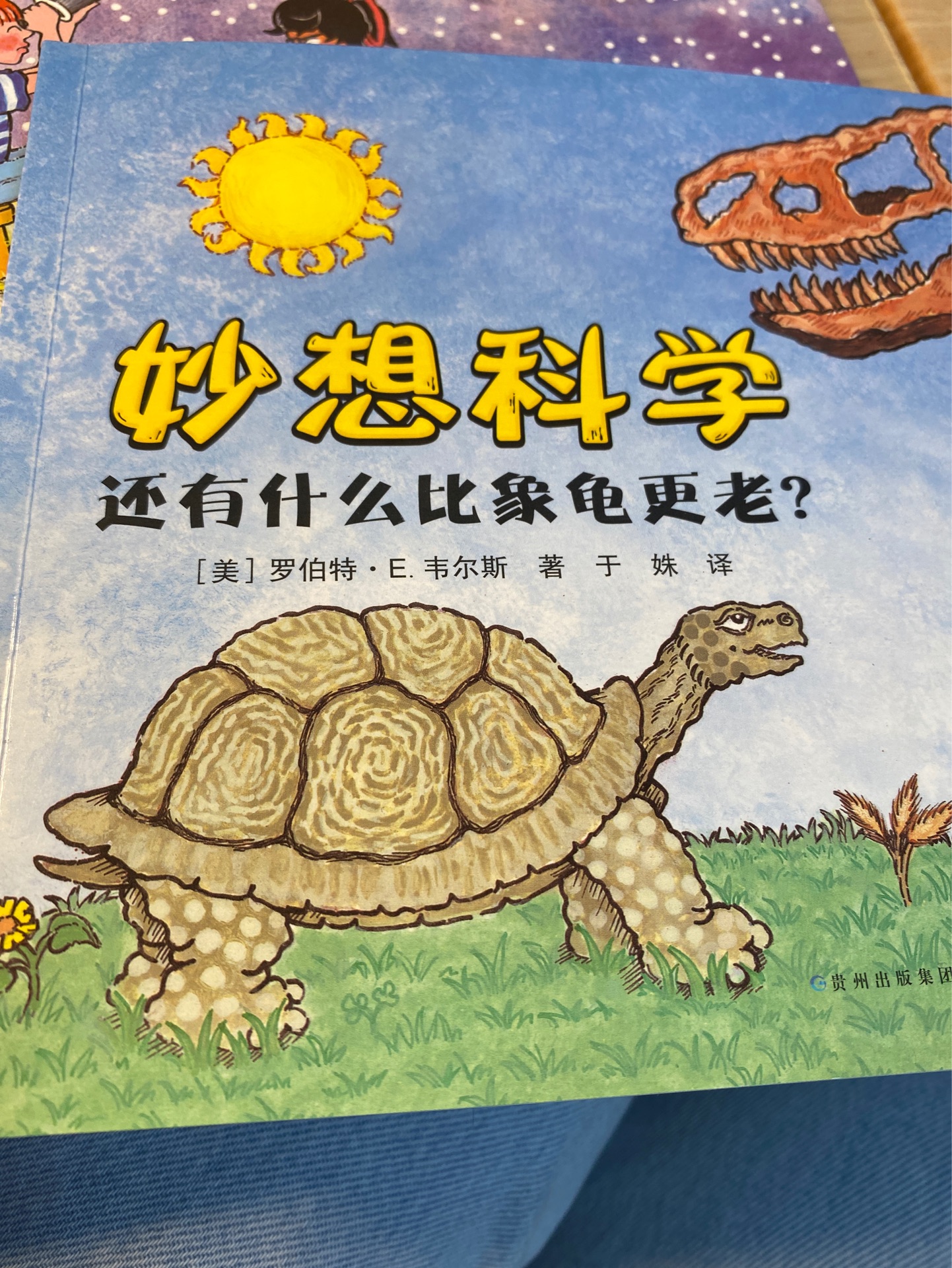 還有什么比象龜更老