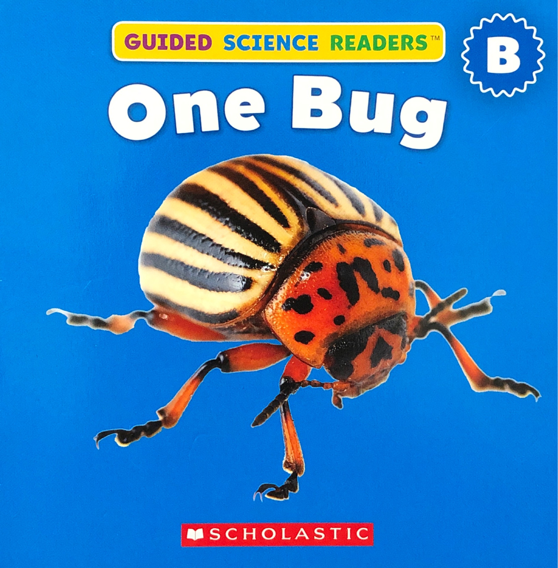 One Bug