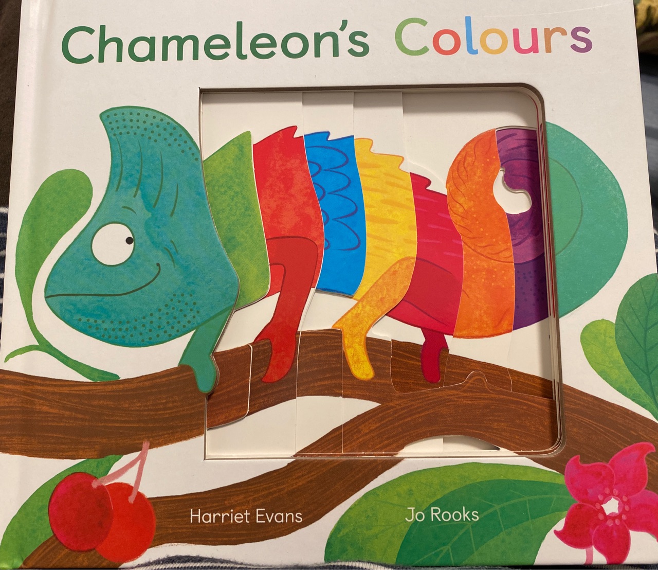 Chameleon's Colours