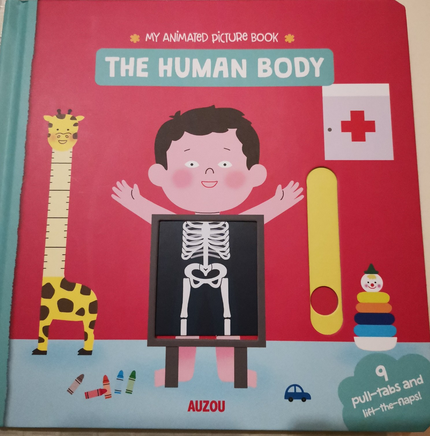 The human body