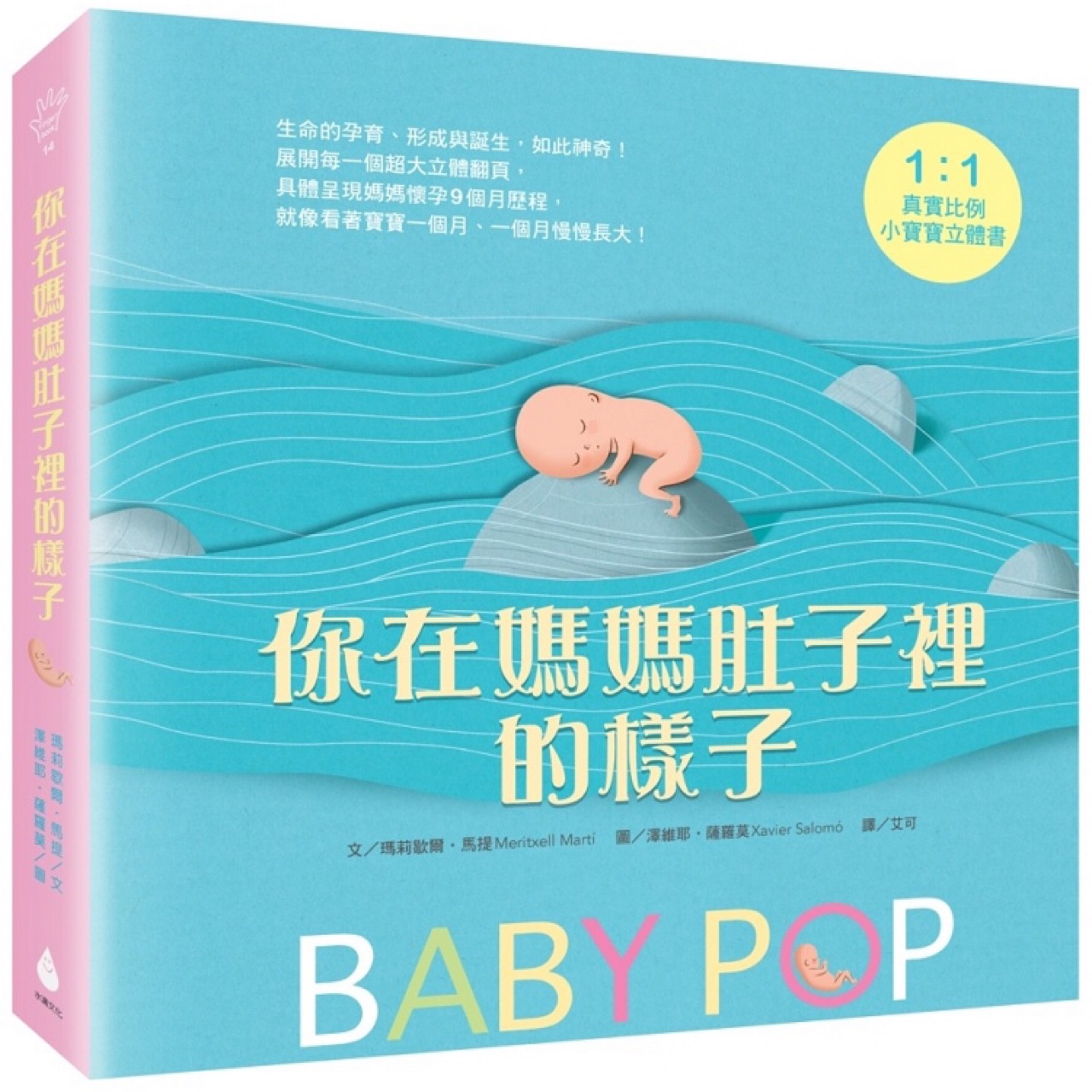 在媽媽肚子裡的樣子