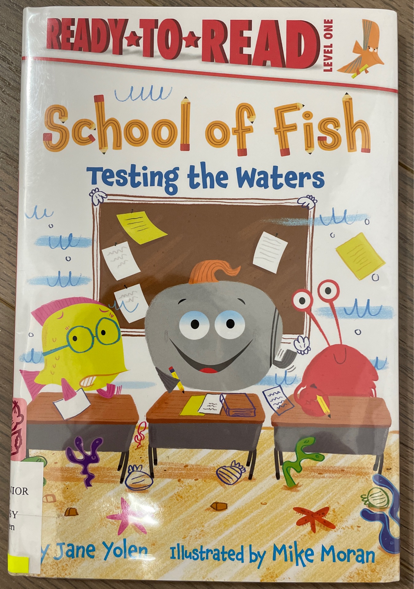 School of Fish Testing the Waters