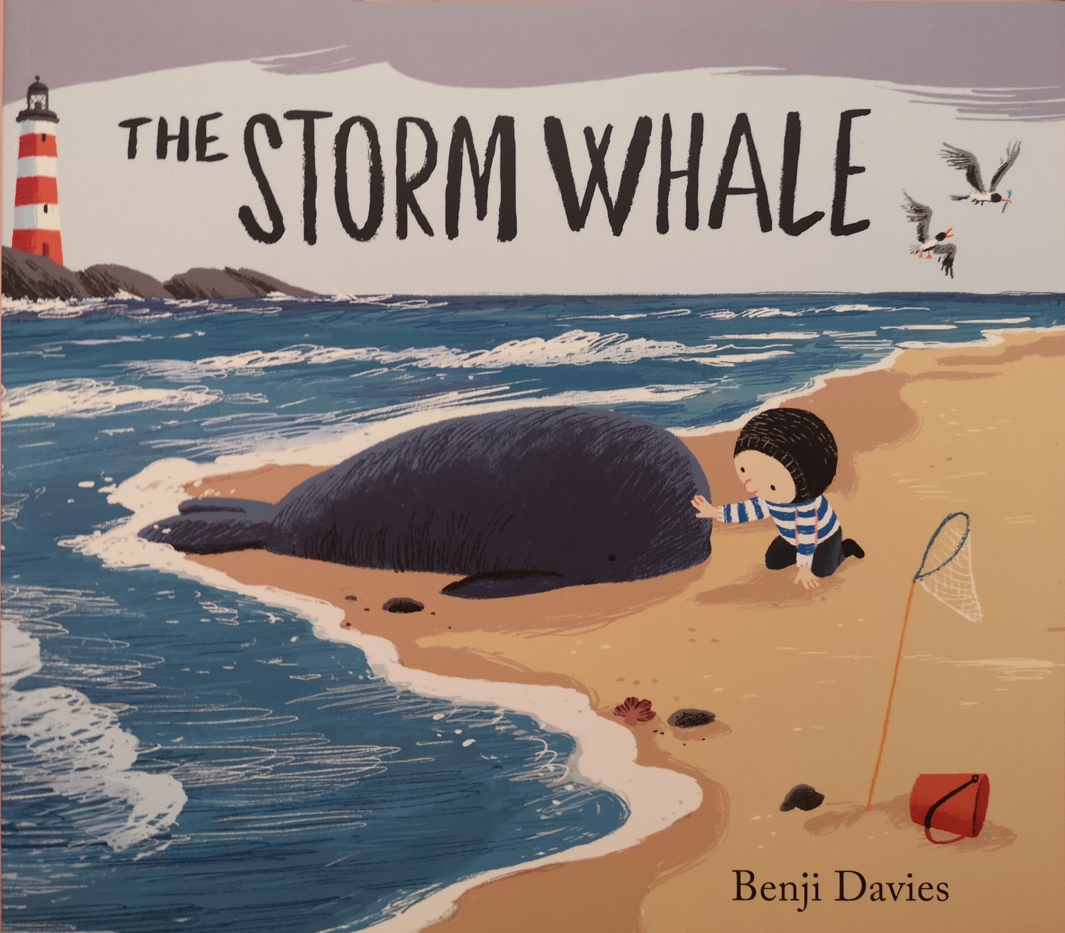 The Storm Whale