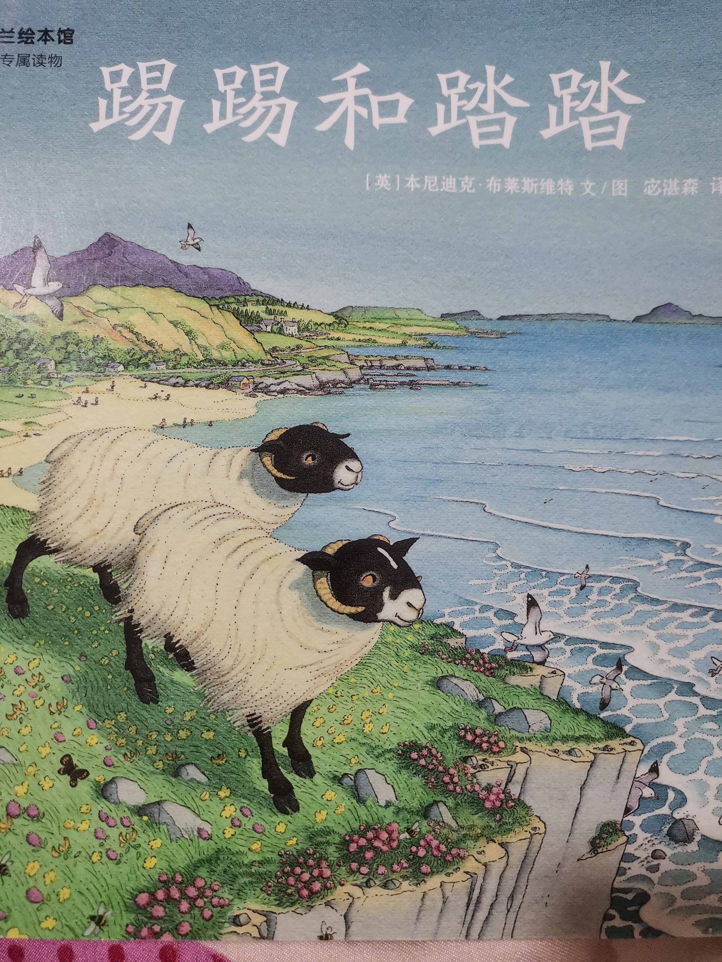 踢踢踏踏