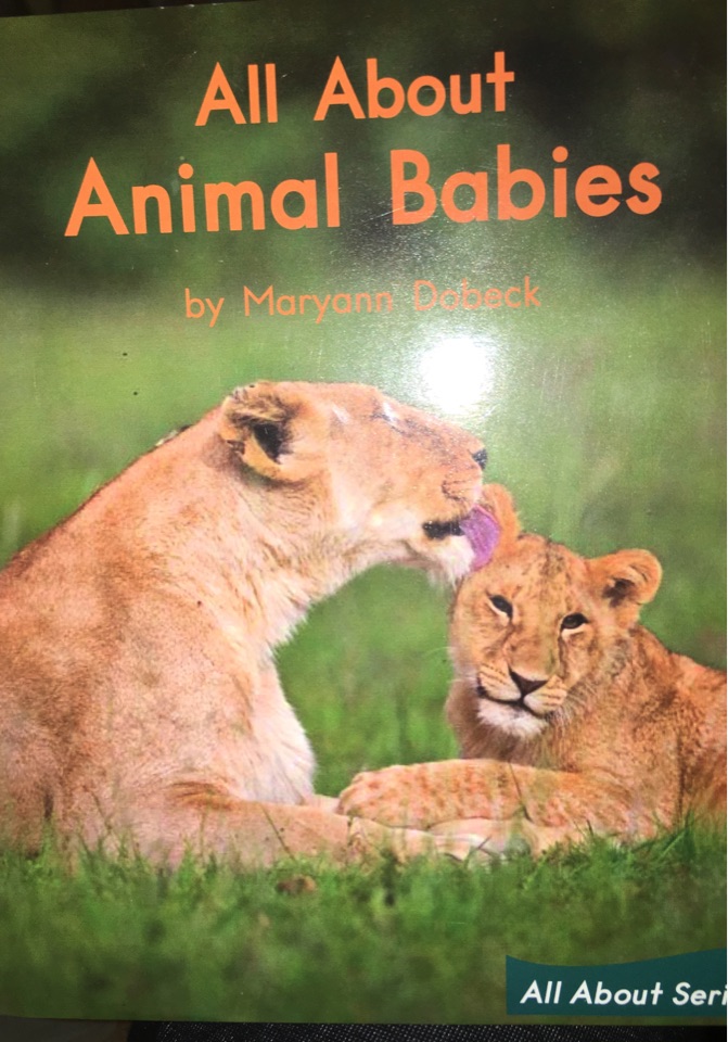 All about  animal babies