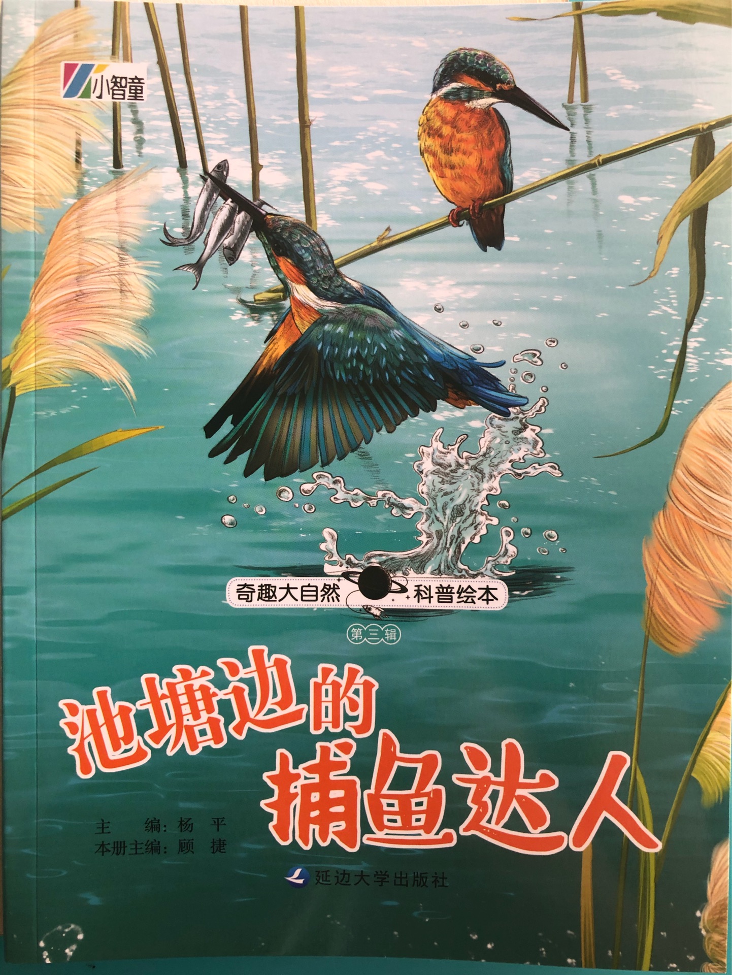 奇趣大自然科普繪本-池塘邊的捕魚達(dá)人