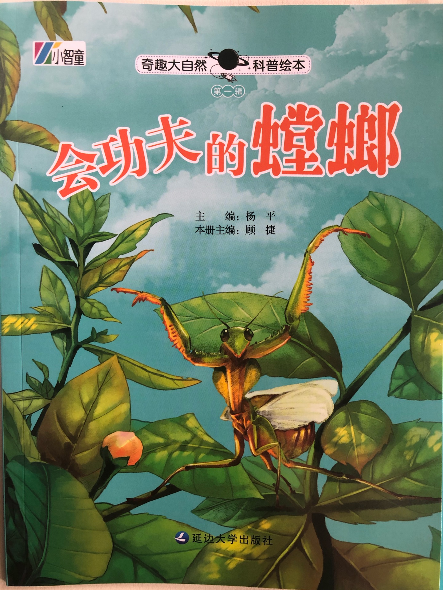 奇趣大自然科普繪本-會功夫的螳螂