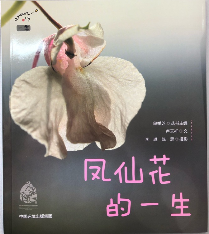 小聪仔·一季系列-凤仙花的一生