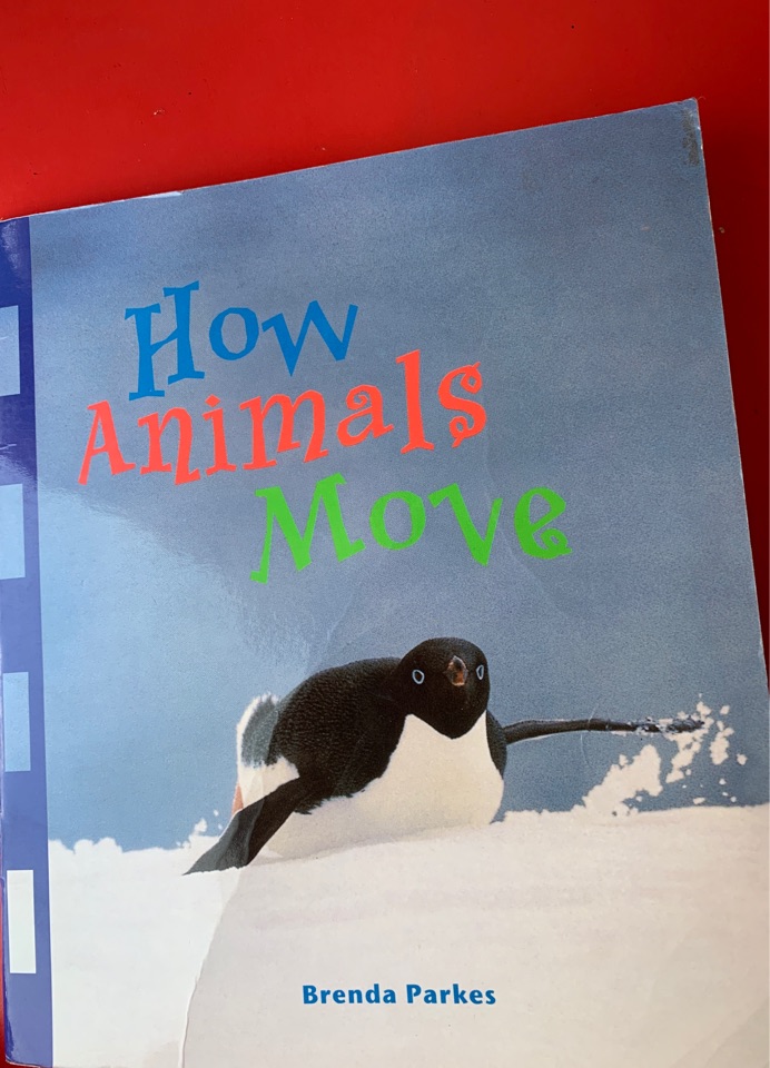 how animals move