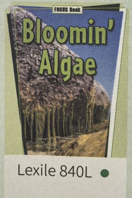 47 SAZ3-4 Bloomin' Algae