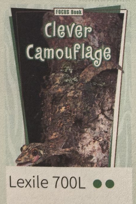 48 SAZ3-4 Clever Camouflage