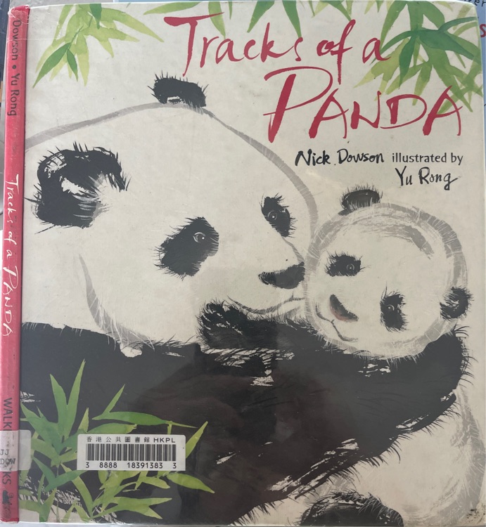 Tracks of a Panda