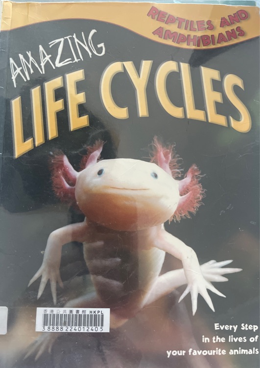 Amazing life cycles: reptiles and amphibians