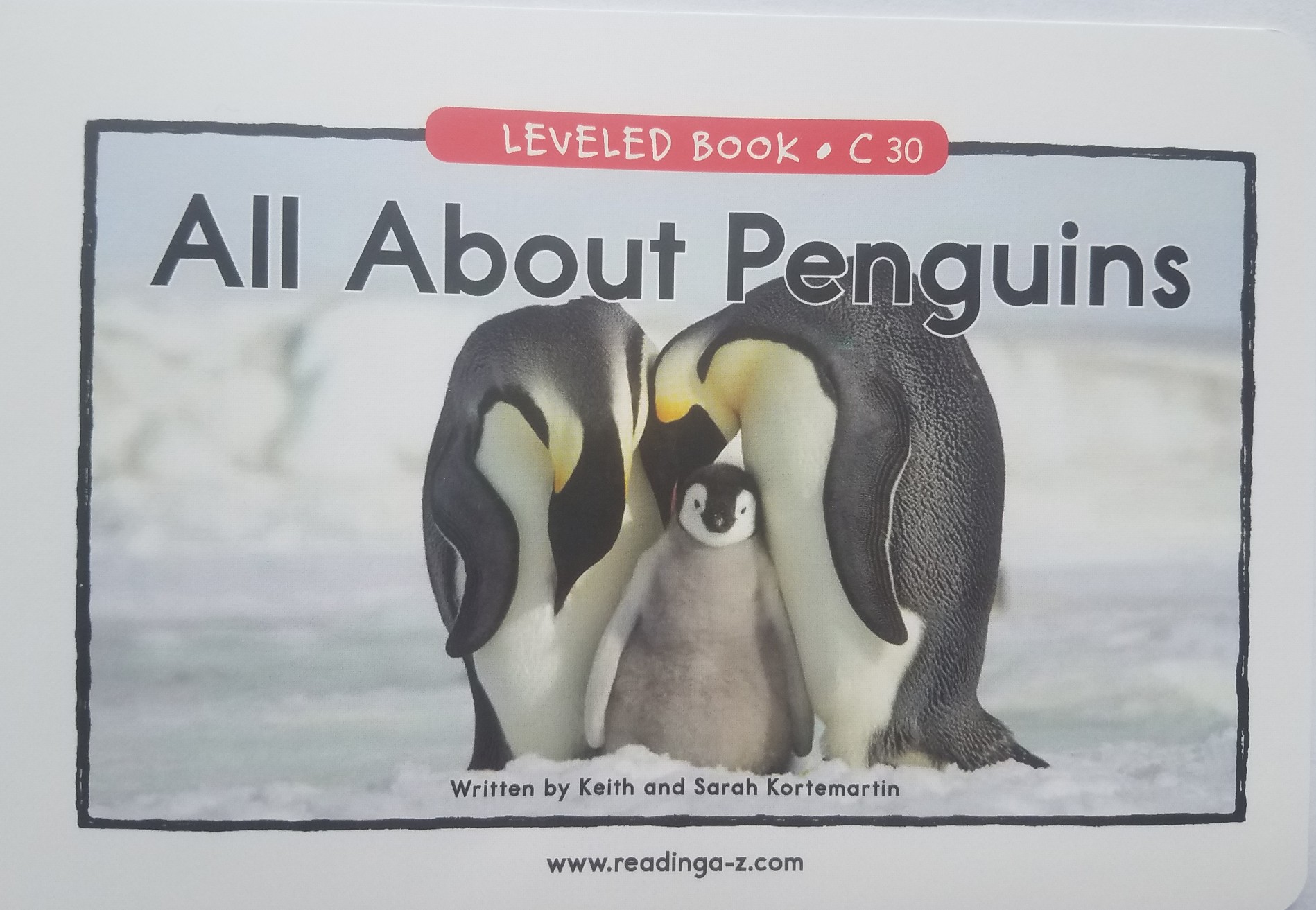 30 All About  Penguins