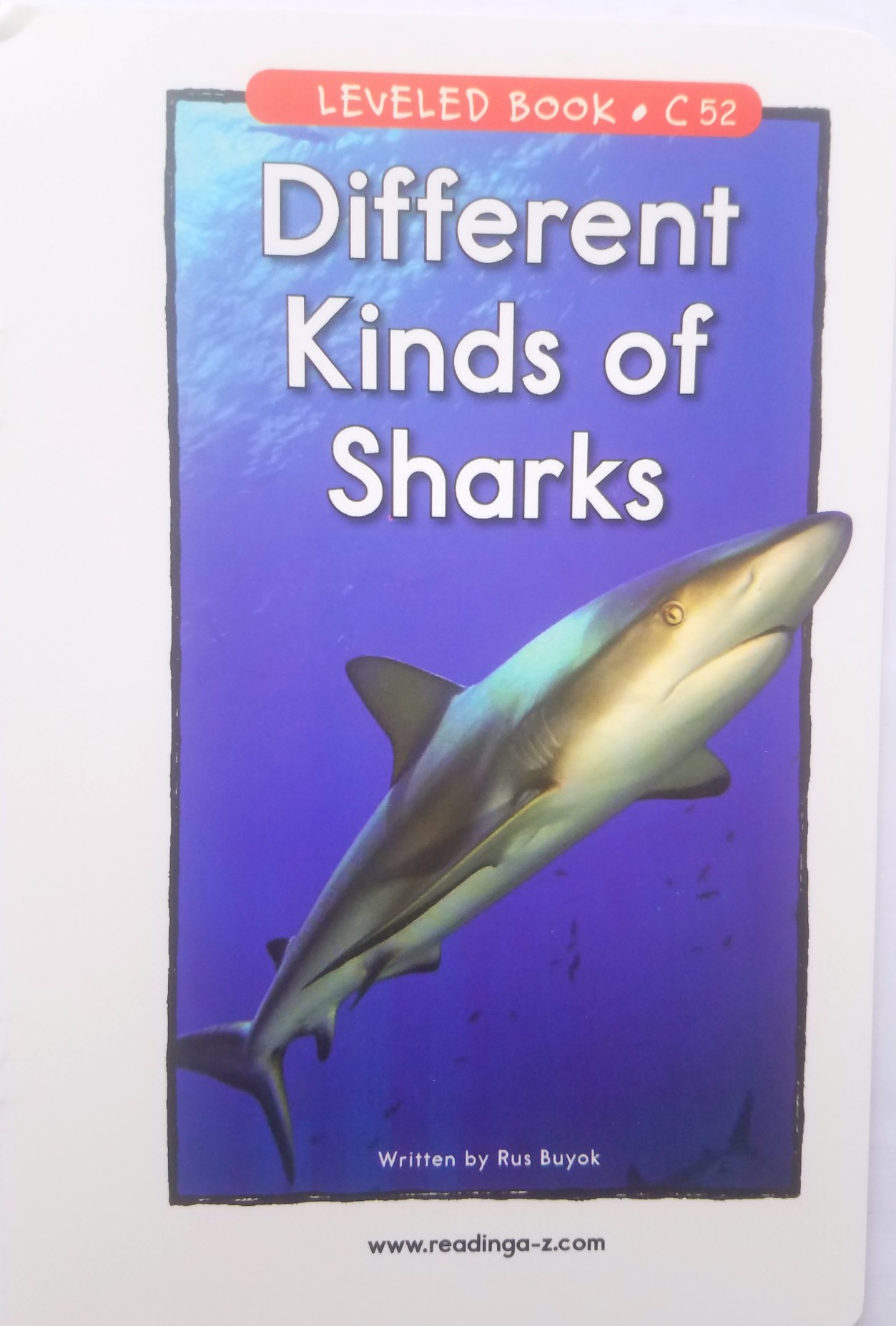 52 Different  Kinds of Sharks