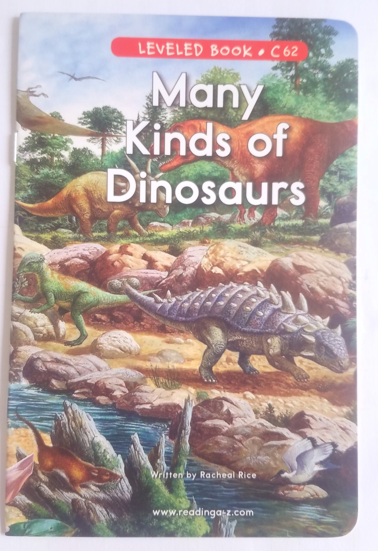 62 Many Kinds Of Dinosaurs