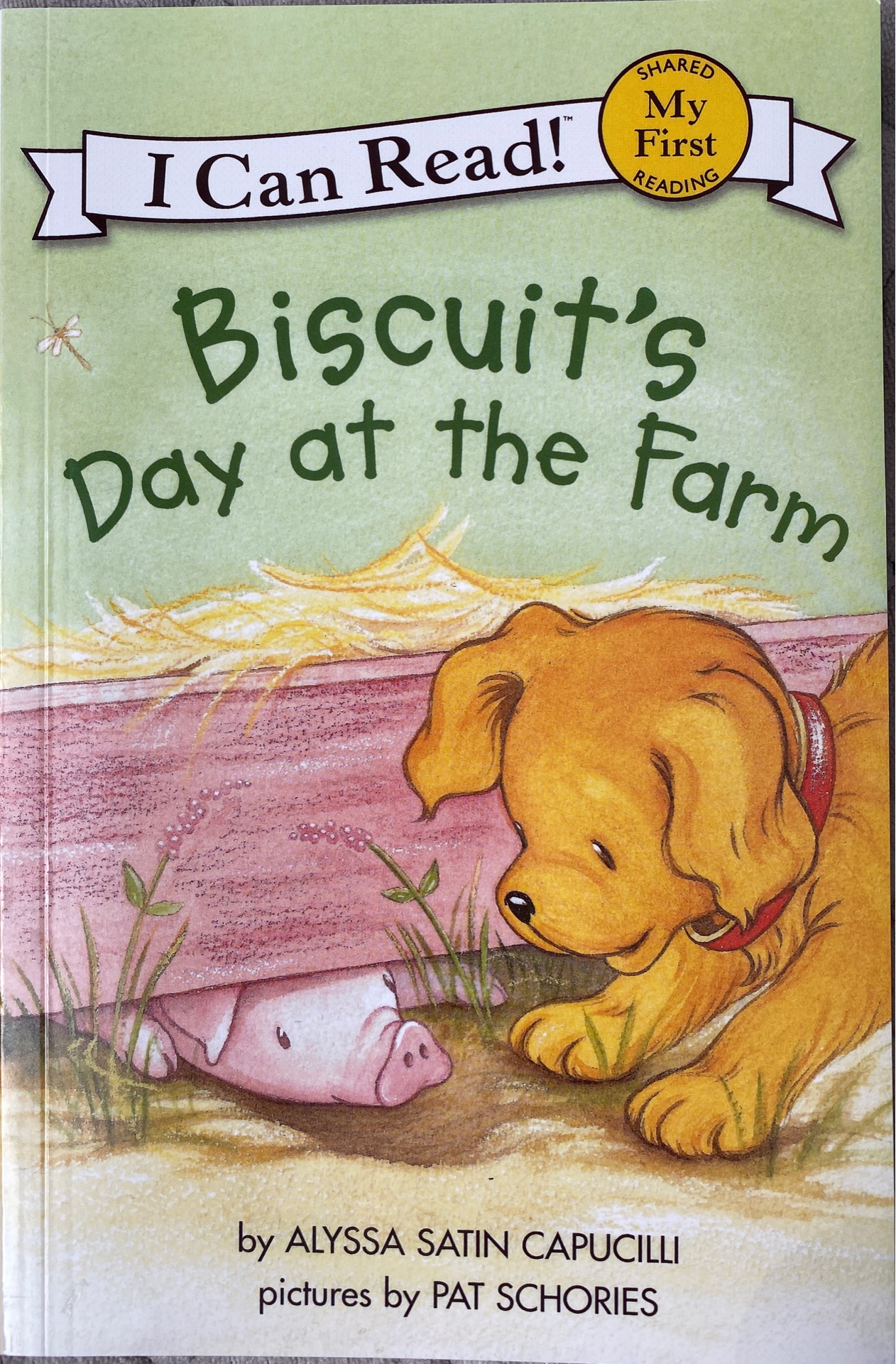 Biscuit's day at the farm