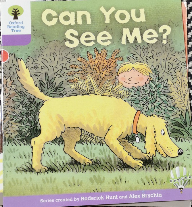 Can You See Me?