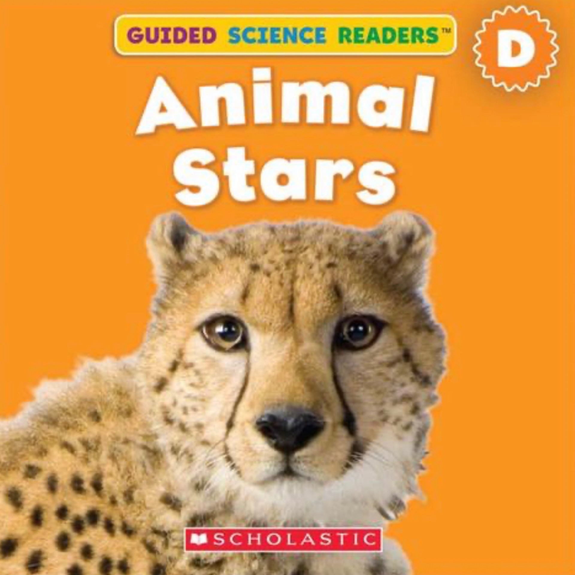 Animal Stars