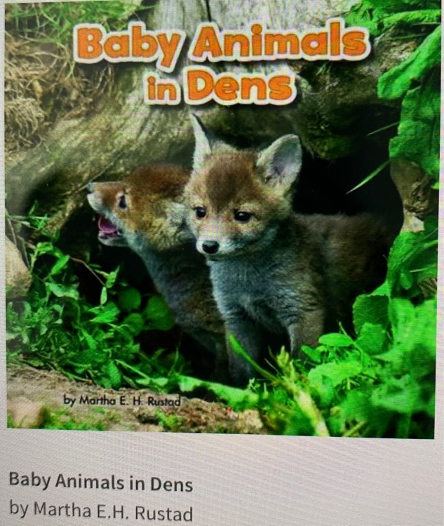 baby animals in dens