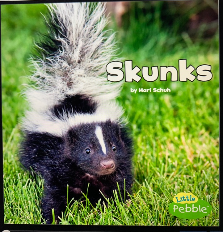 skunks by mari schuh