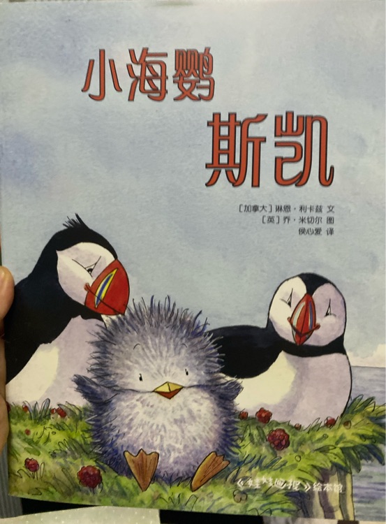 小海鸚斯凱