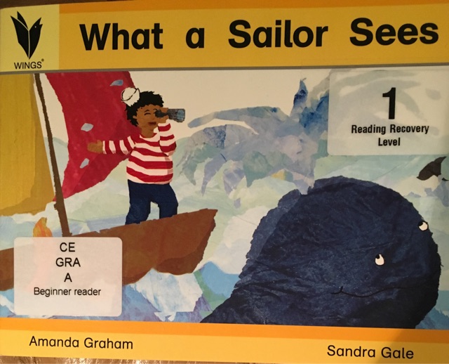 What a sailor sees