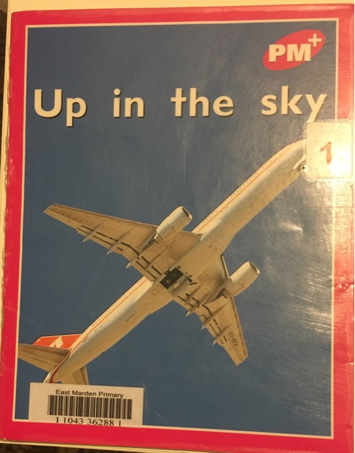 Up in the Sky PM Plus Magenta 1 Fiction