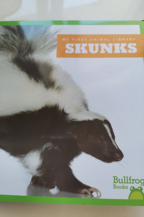 shunks