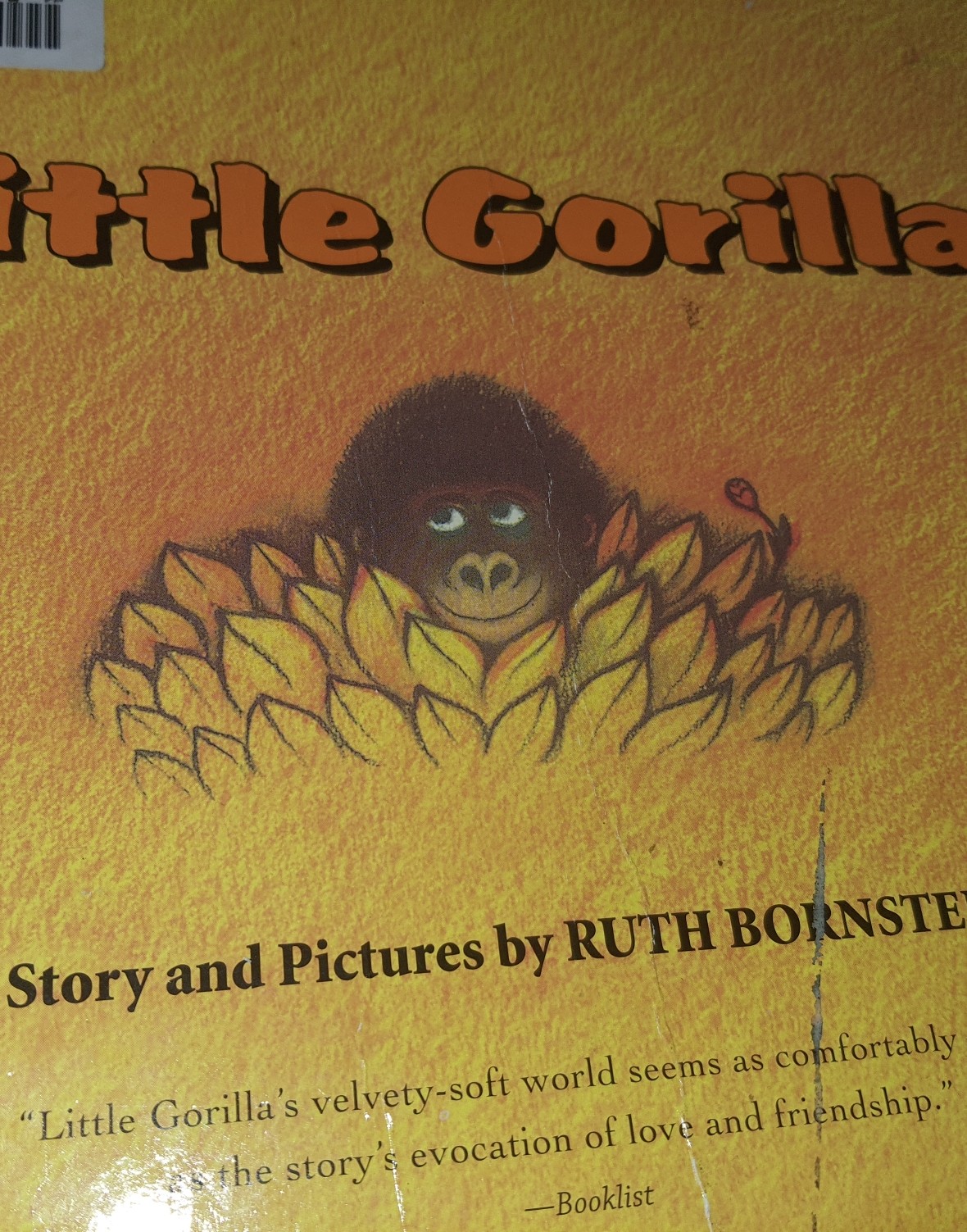 little gorilla