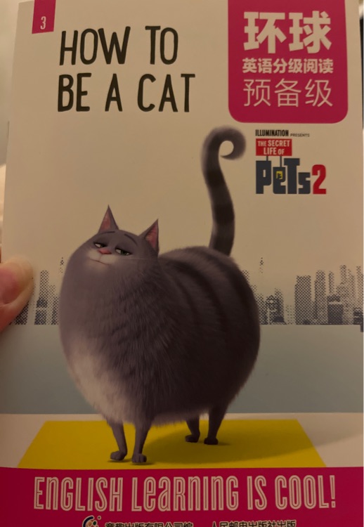 How to be a cat