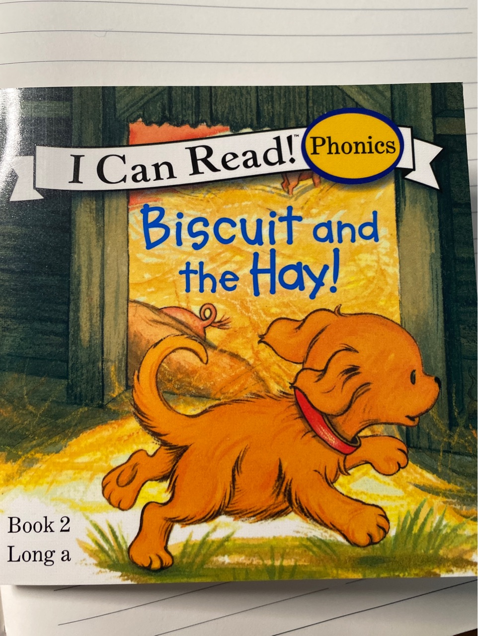 Biscuit and hay book2