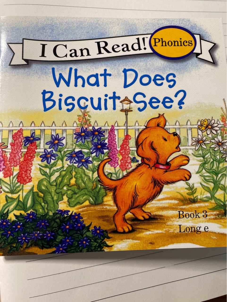 What does biscuit see?book3