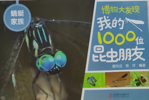 我的1000位昆蟲朋友: 蜻蜓家族