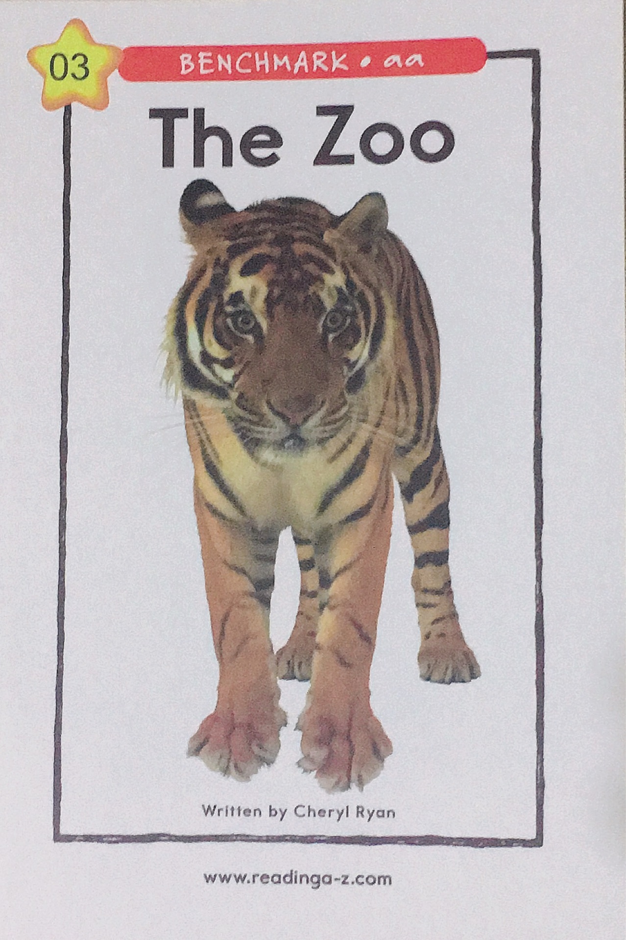 the zoo