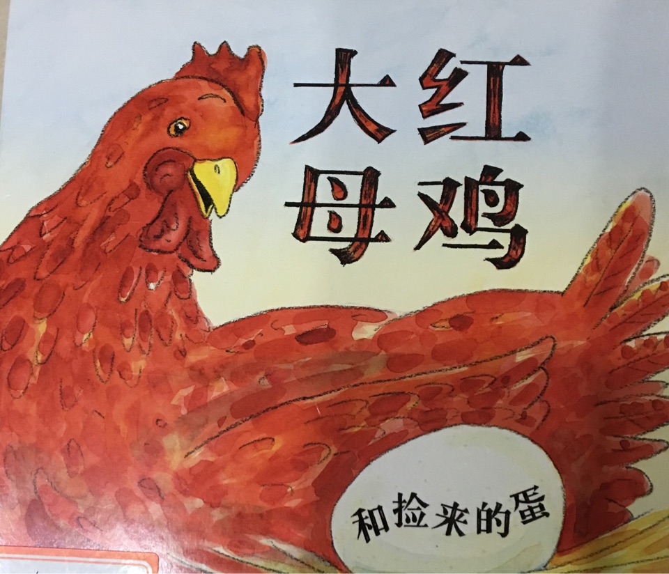 大紅母雞和撿來的蛋
