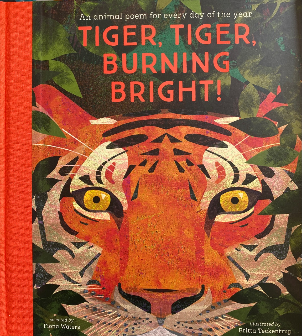 Tiger,Tiger,Burning Bright!