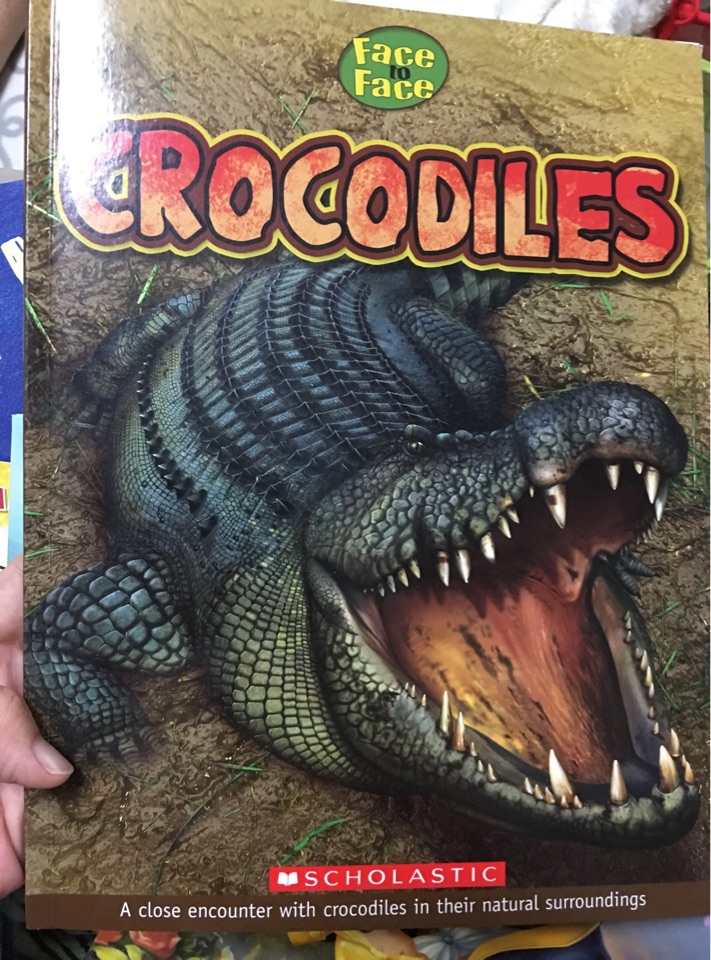 Crocodiles